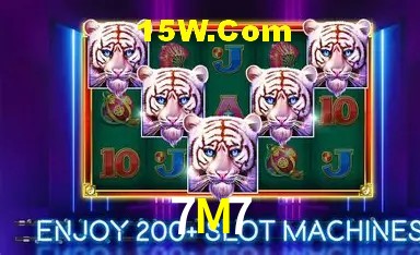 Experiência VIP 7M7